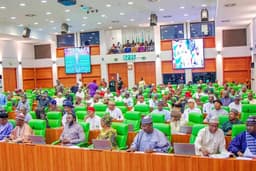 House of reps debate over Tinubu's request to extend budget period