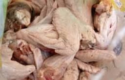 Lagos task force arrests 8 for selling contaminated turkey trashed by customs on the dumpsite