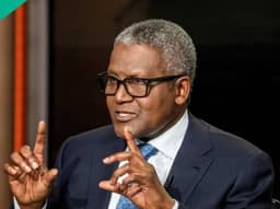 Environmental Abuse: Dangote Asked to Appear Before Assembly